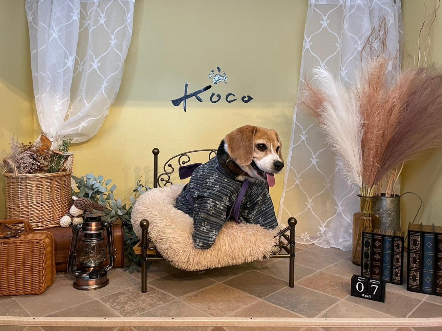 Вилла Koco伊豆高原 Ито Экстерьер фото